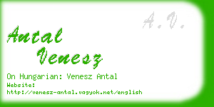 antal venesz business card